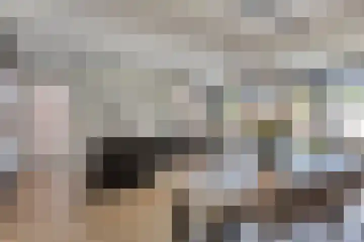 Lijsterhof 7 Elsloo thumbnail 19