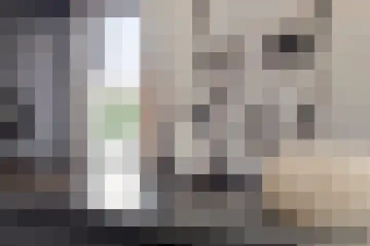 Lijsterhof 7 Elsloo thumbnail 23