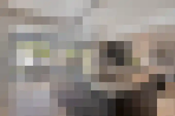 Lijsterhof 7 Elsloo thumbnail 27