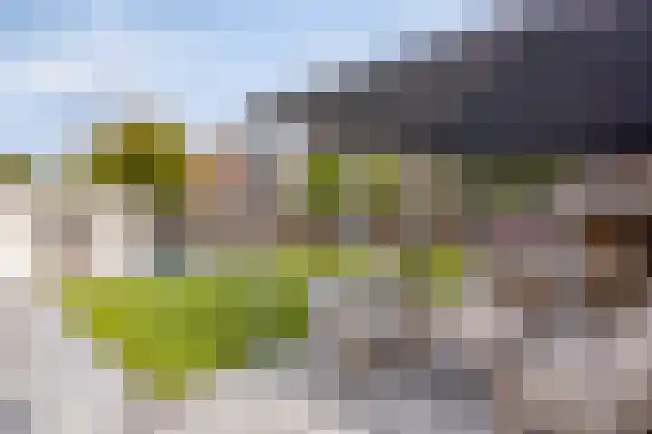Lijsterhof 7 Elsloo thumbnail 29