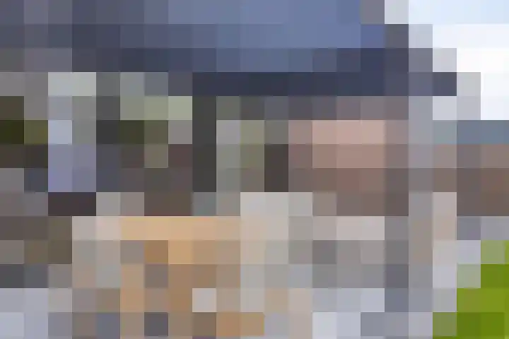 Lijsterhof 7 Elsloo thumbnail 30