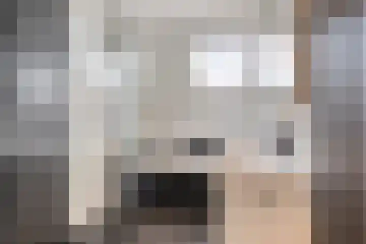 Lijsterhof 7 Elsloo thumbnail 34