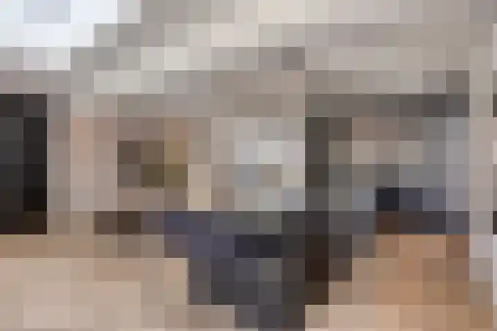 Lijsterhof 7 Elsloo thumbnail 4