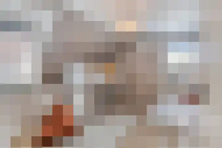 Lijsterhof 7 Elsloo thumbnail 40