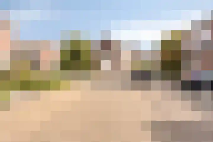 Lijsterhof 7 Elsloo thumbnail 48