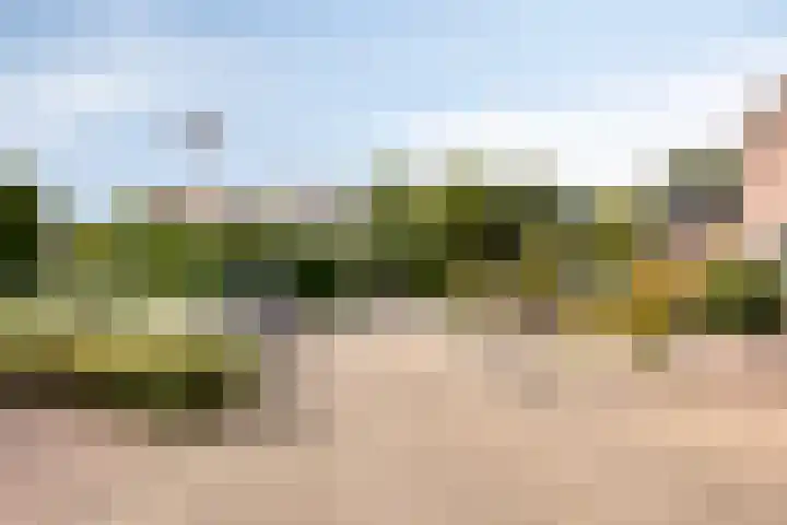 Lijsterhof 7 Elsloo thumbnail 49