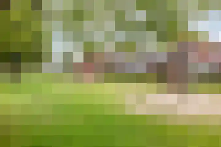 Lijsterhof 7 Elsloo thumbnail 50