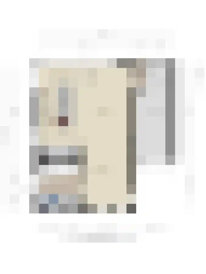 Lijsterhof 7 Elsloo thumbnail 52