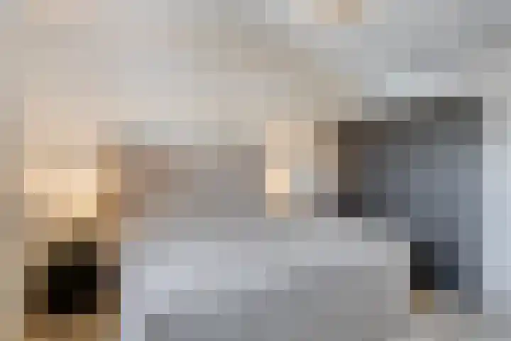 Lijsterhof 7 Elsloo thumbnail 8