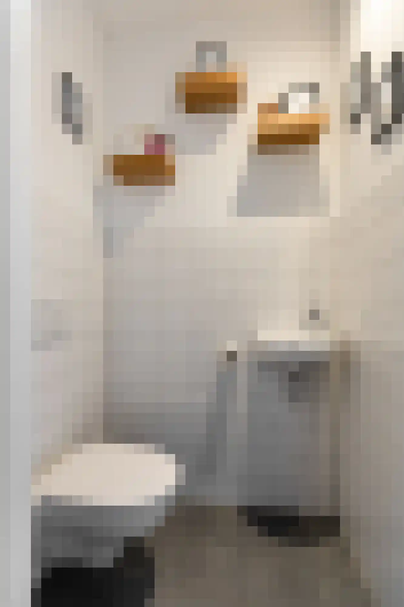 Lijsterhof 7 Overasselt thumbnail 14