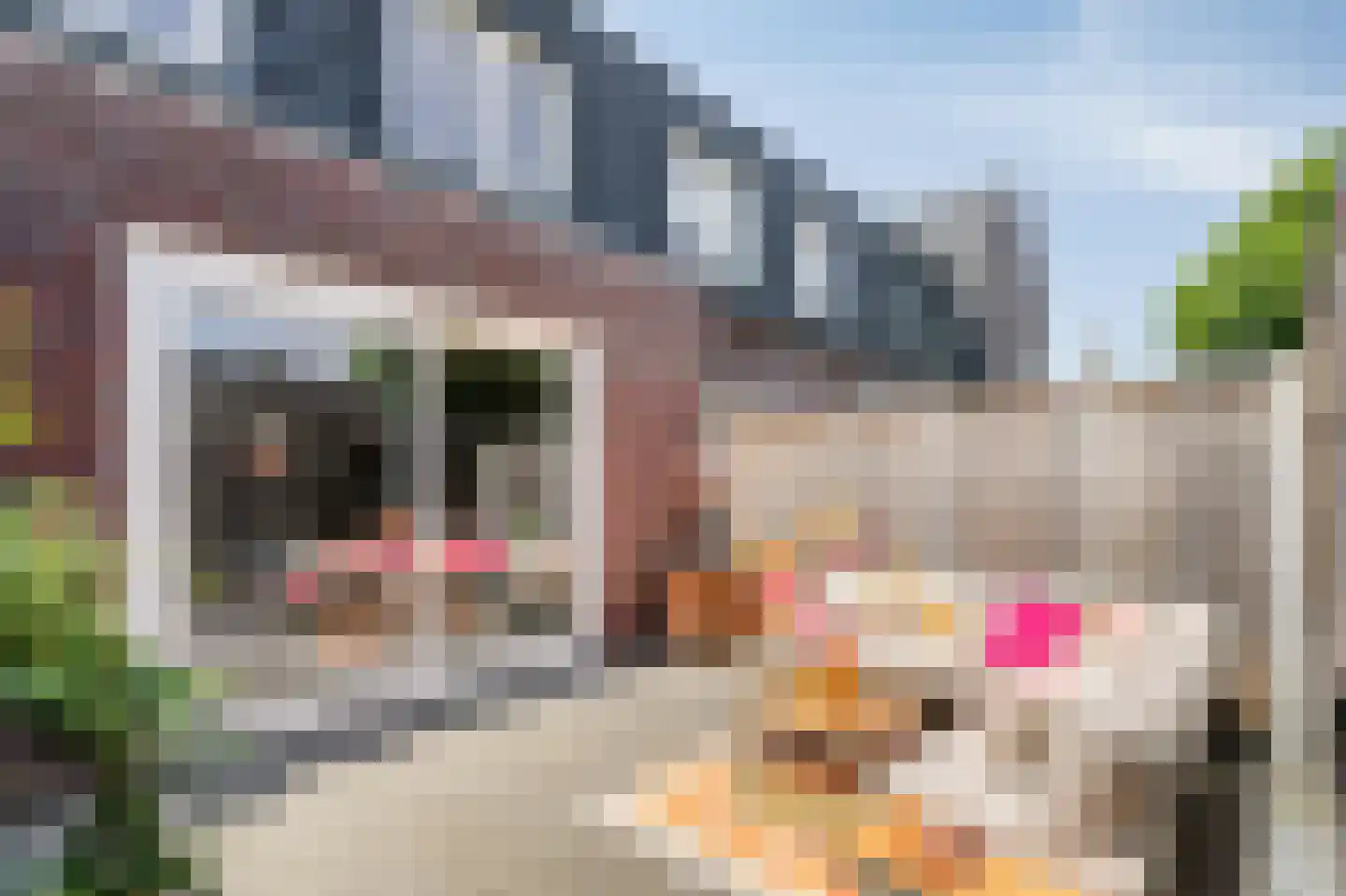 Lijsterhof 7 Overasselt thumbnail 28