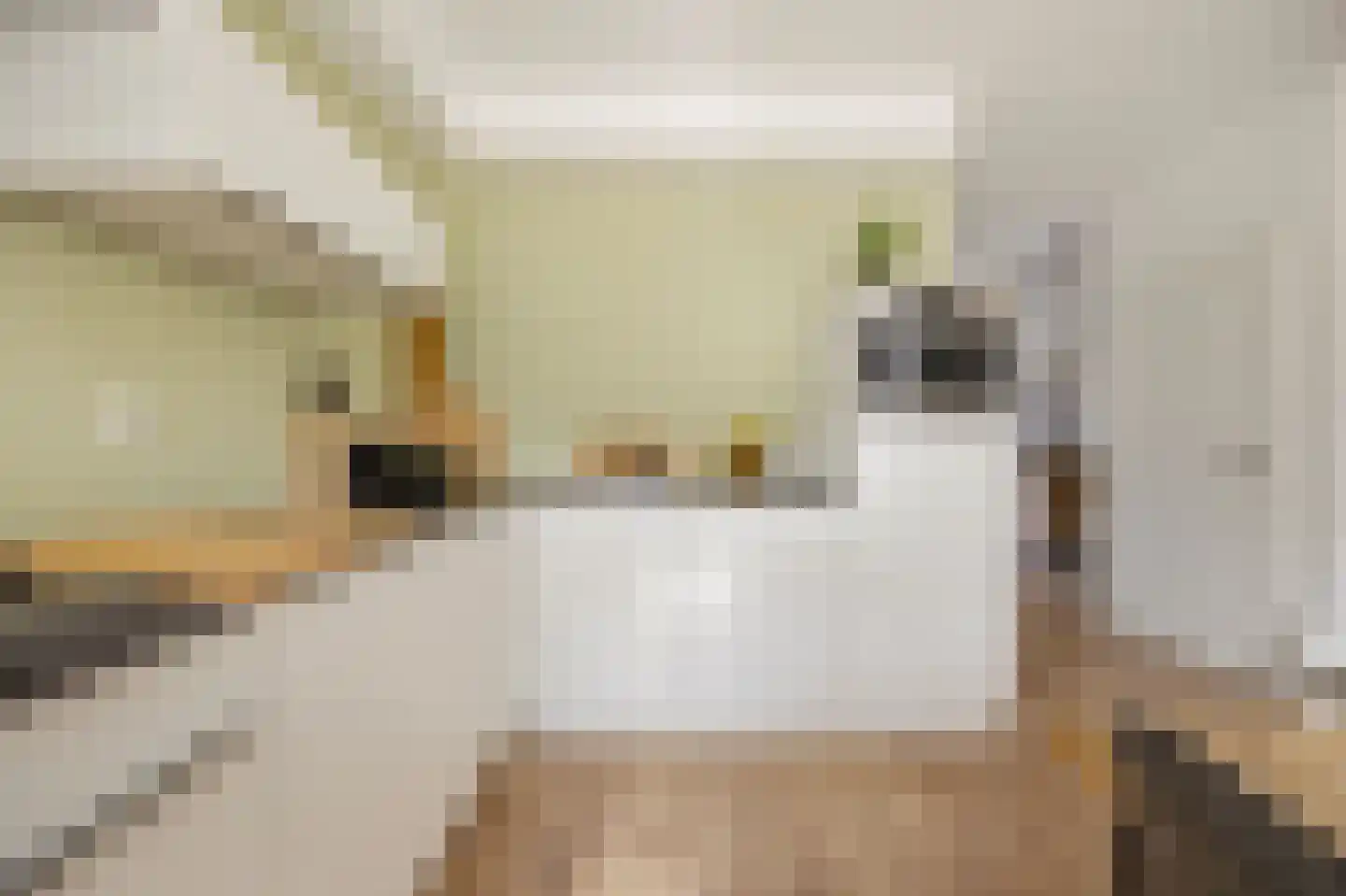 Lijsterhof 71 Made thumbnail 8
