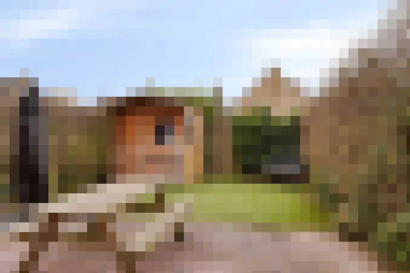 Lijsterhof 8 Ouderkerk aan den IJssel thumbnail 29