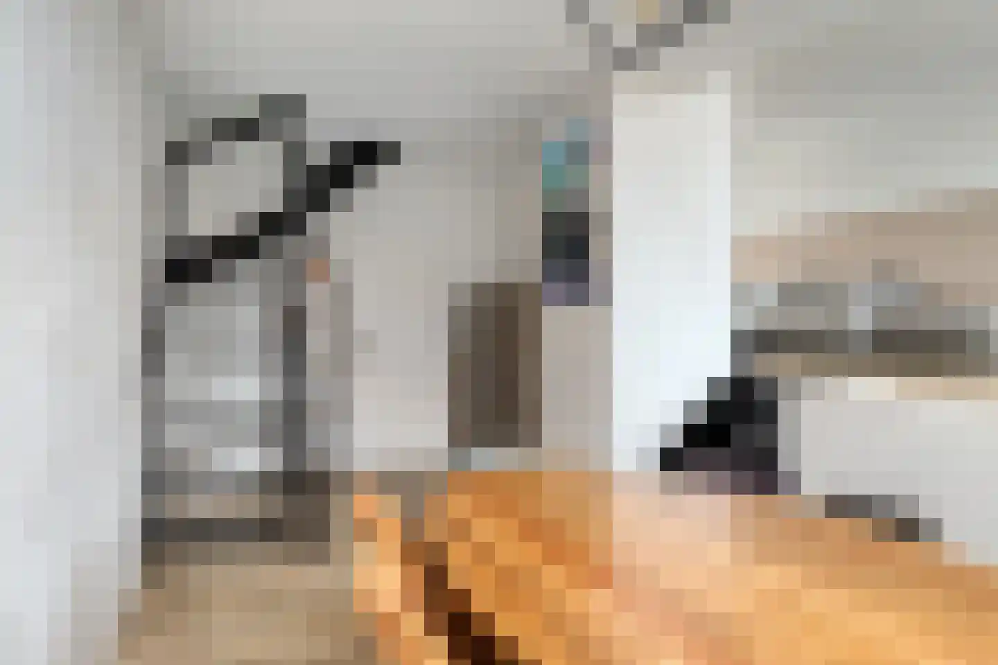 Lijsterhof 8 Ouderkerk aan den IJssel thumbnail 9