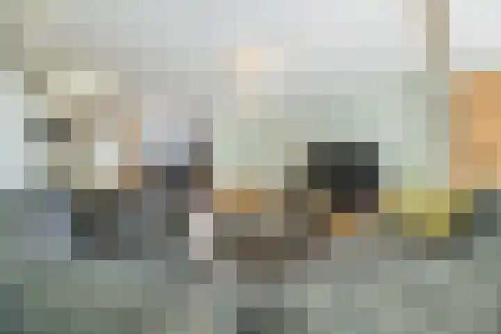 Lijsterhof 87 Made thumbnail 18