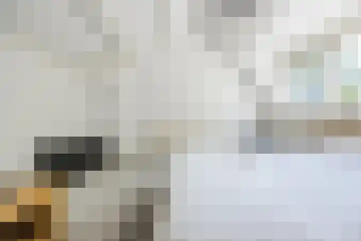 Lijsterhof 87 Made thumbnail 33