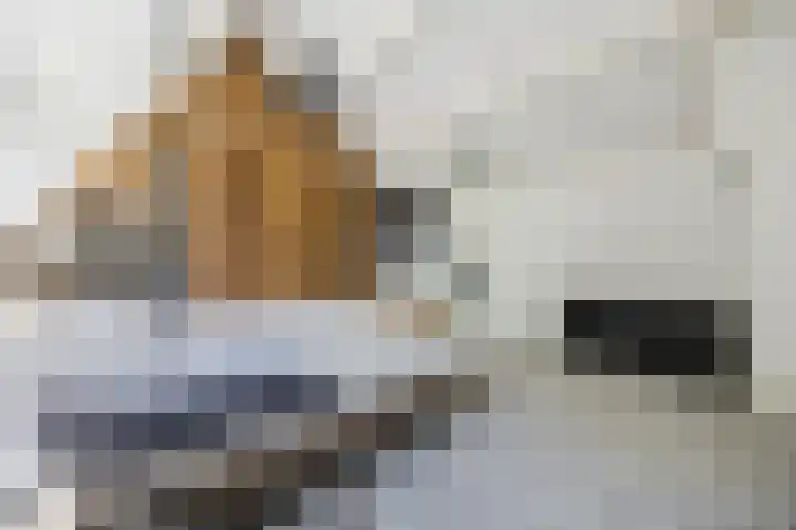 Lijsterhof 87 Made thumbnail 34