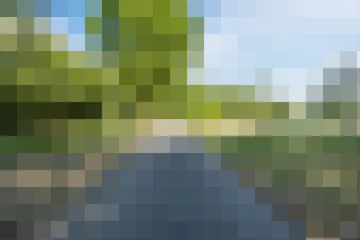 Lijsterhof 87 Made thumbnail 41