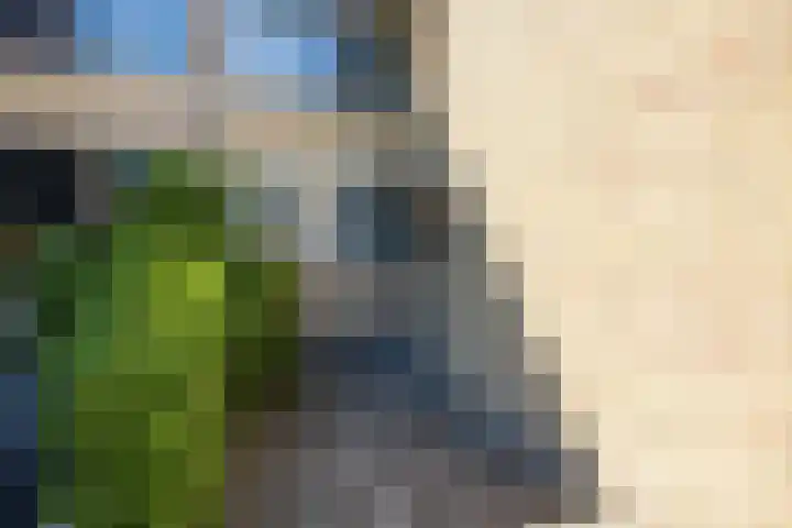 Lijsterhof 87 Made thumbnail 5
