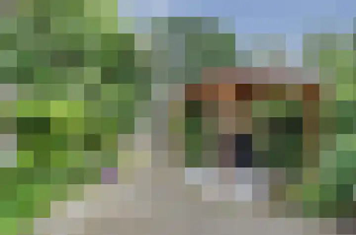 Lijsterhofstraat 1 Domburg thumbnail 5