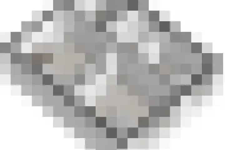 Lijsterhofstraat 3 Domburg thumbnail 33
