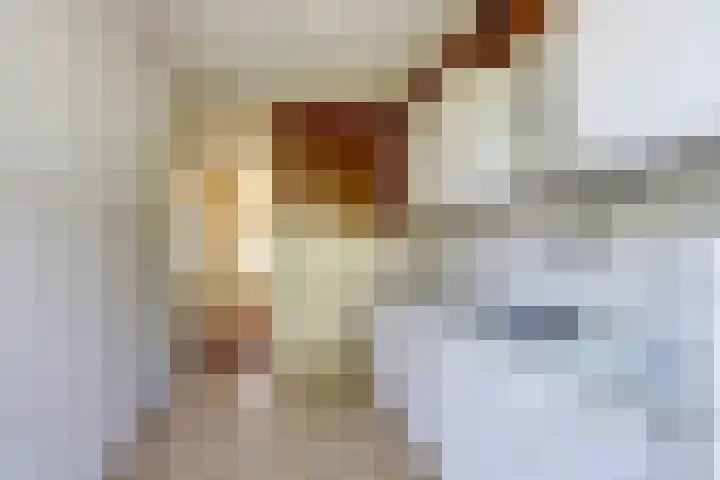 Lijsterhofstraat 3 Domburg thumbnail 9