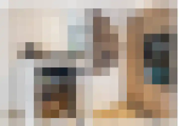 Lijsterlaan 1 Nederhorst den Berg thumbnail 15