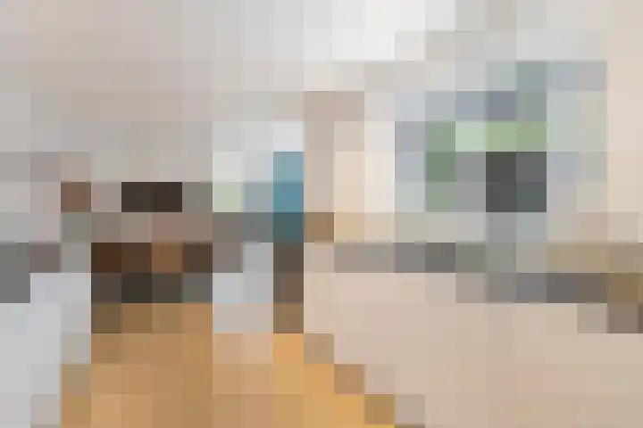 Lijsterlaan 1 Nederhorst den Berg thumbnail 16