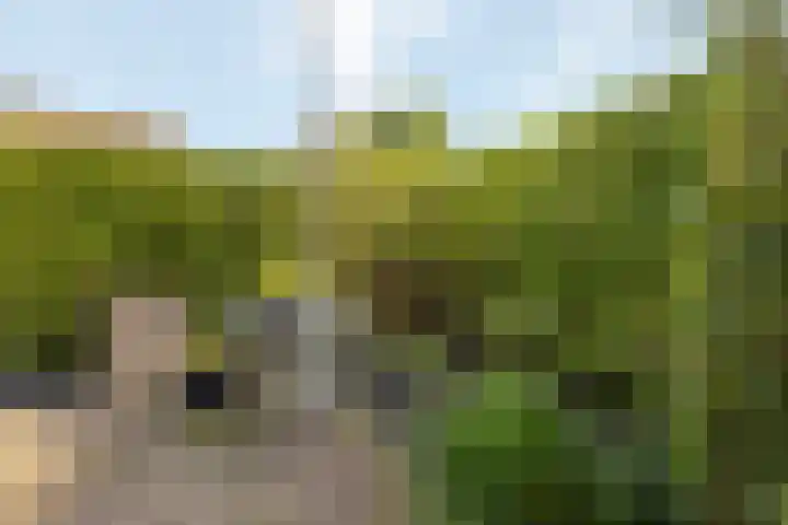 Lijsterlaan 1 Nederhorst den Berg thumbnail 23