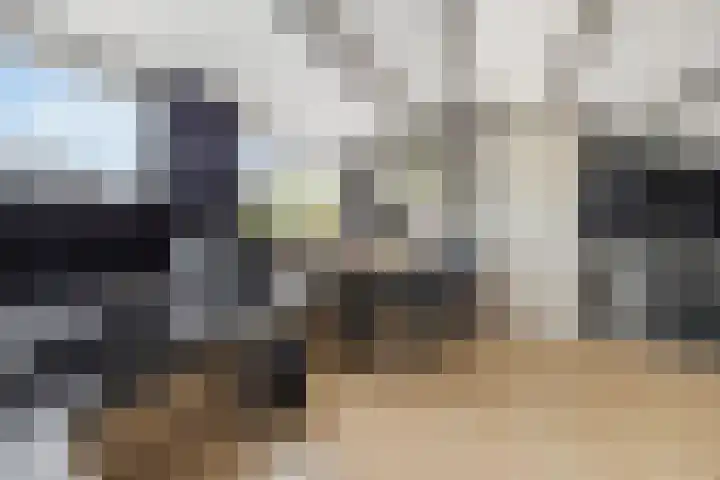 Lijsterlaan 1 Nederhorst den Berg thumbnail 33