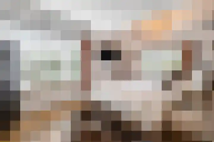 Lijsterlaan 1 Nederhorst den Berg thumbnail 4