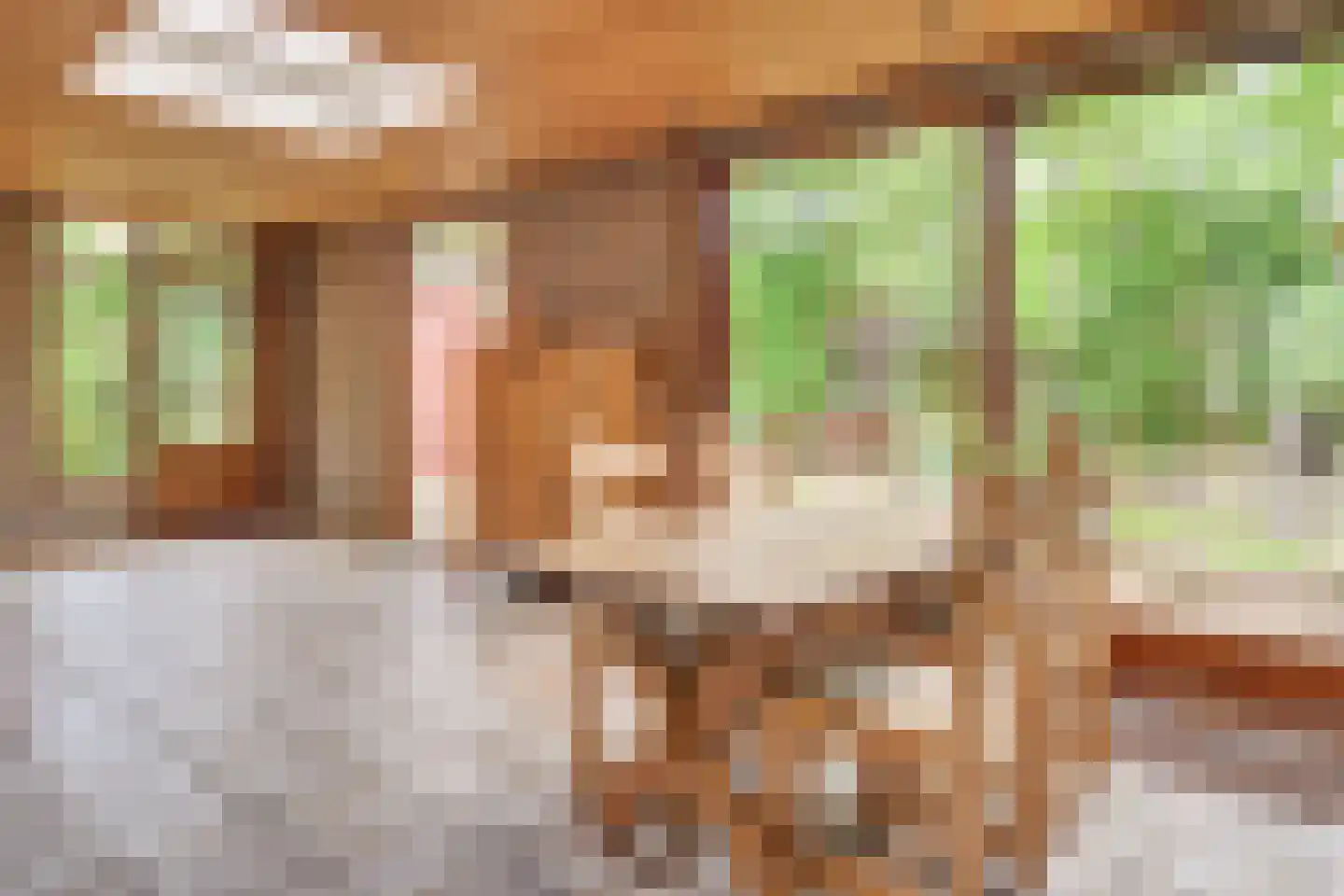 Lijsterlaan 1 Son en Breugel thumbnail 11