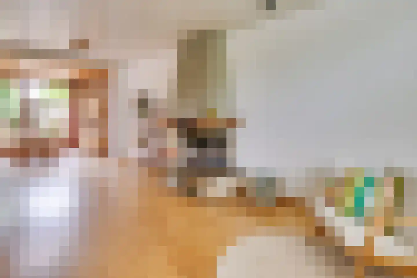 Lijsterlaan 1 Son en Breugel thumbnail 14