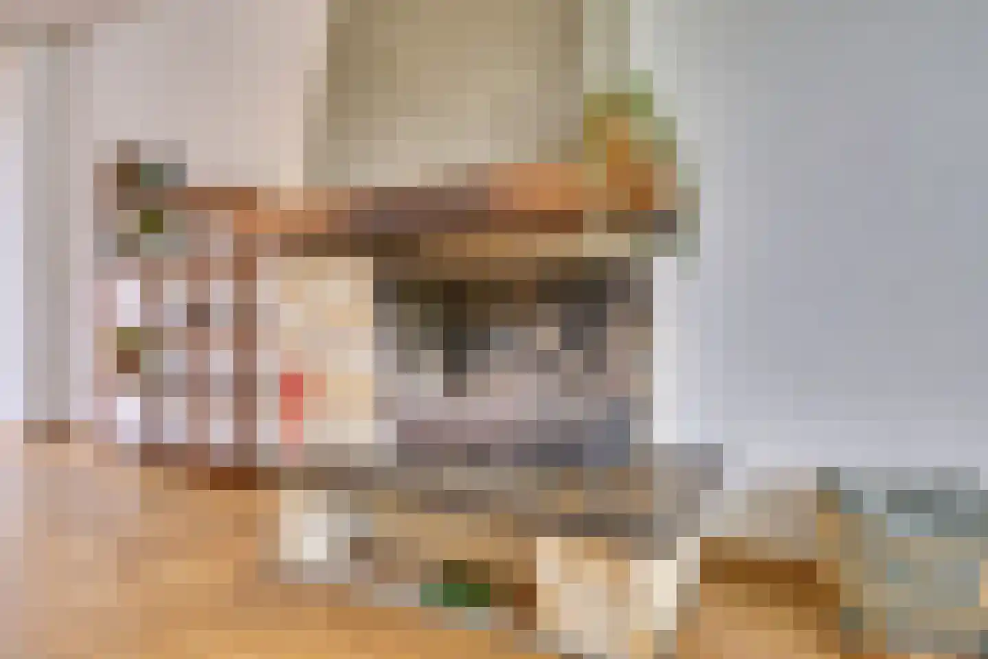 Lijsterlaan 1 Son en Breugel thumbnail 15