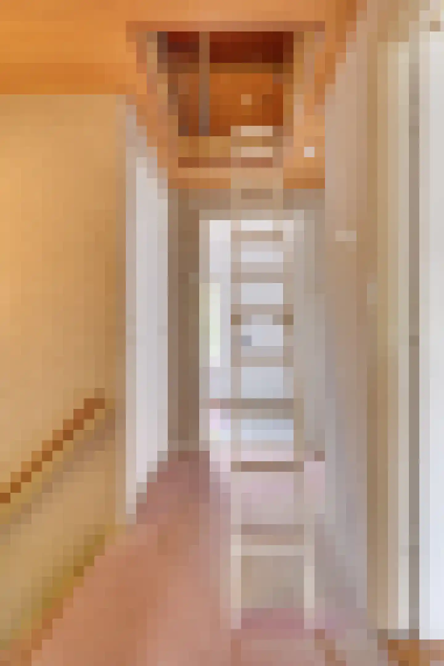 Lijsterlaan 1 Son en Breugel thumbnail 27