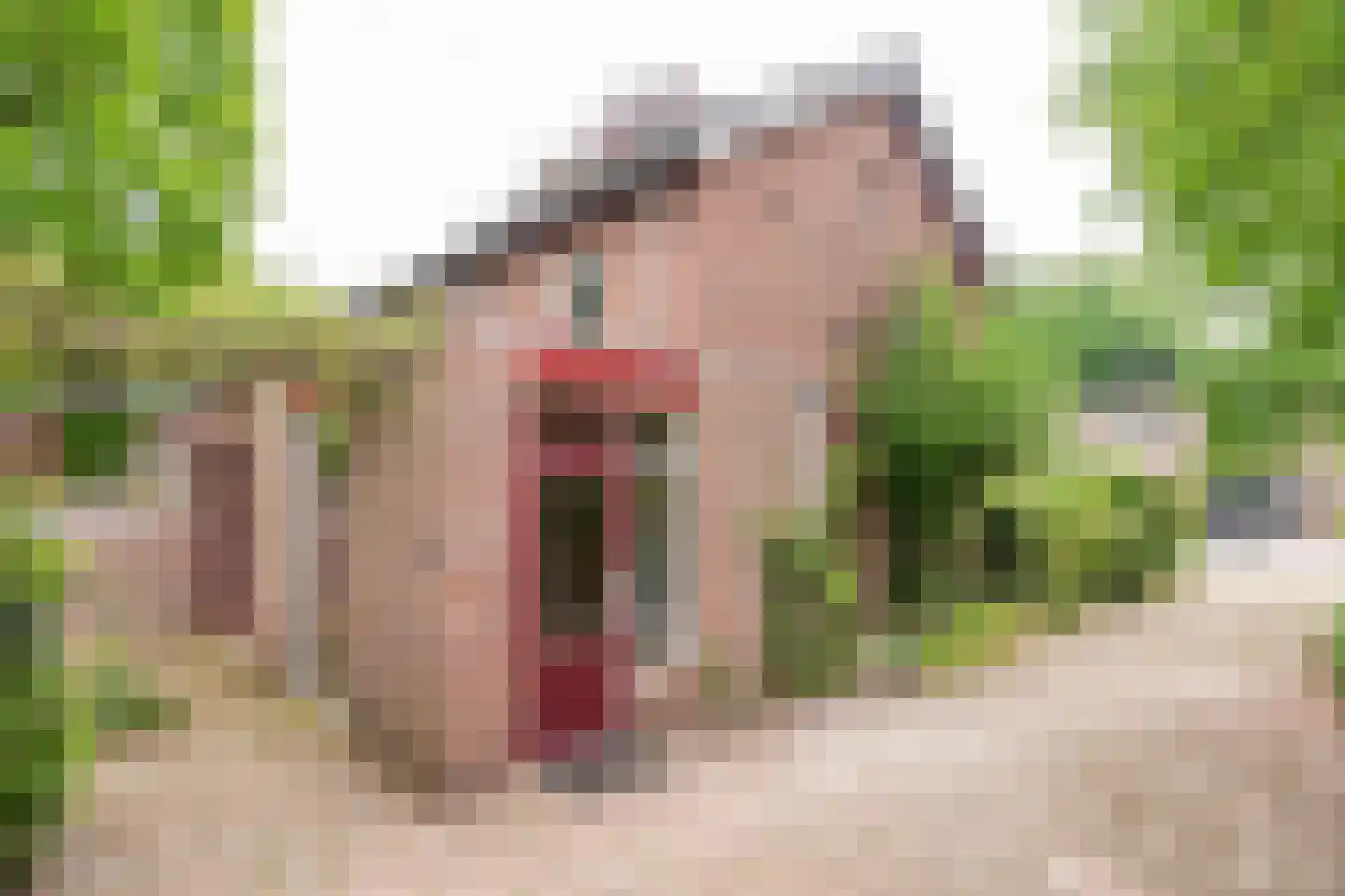 Lijsterlaan 1 Son en Breugel thumbnail 36