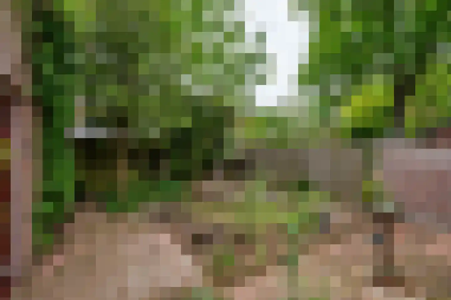 Lijsterlaan 1 Son en Breugel thumbnail 37