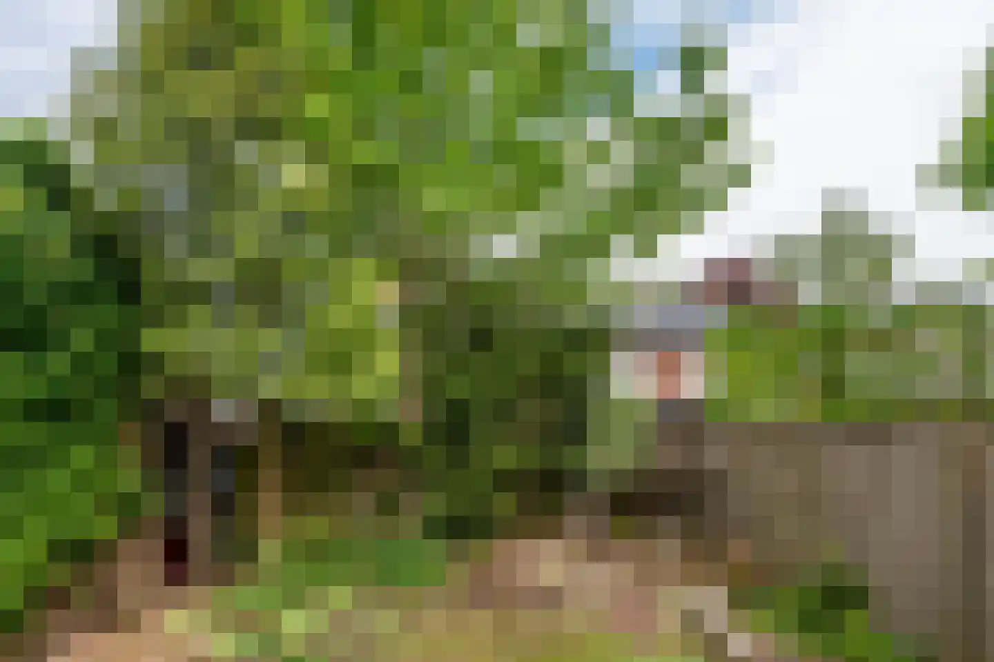 Lijsterlaan 1 Son en Breugel thumbnail 38