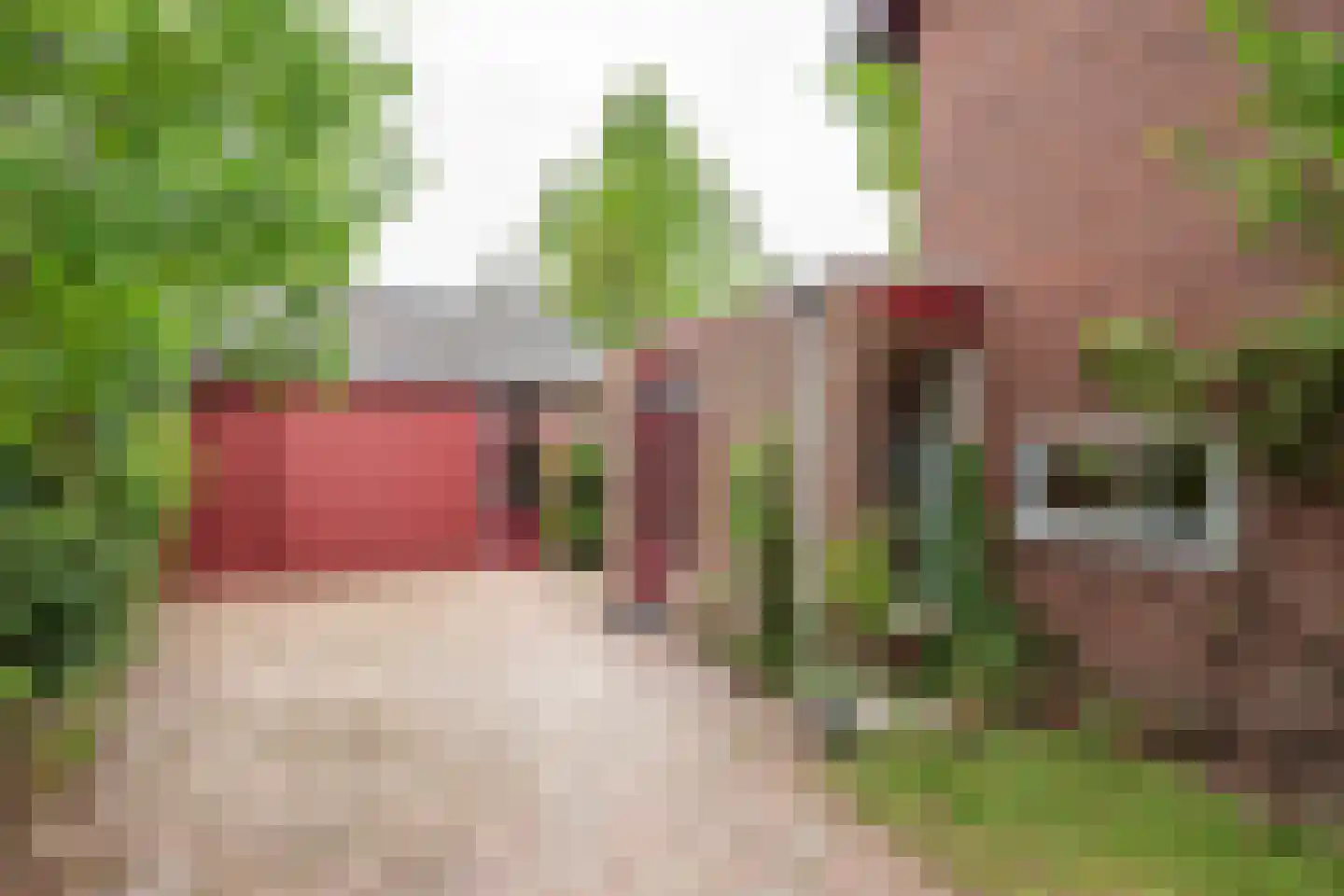 Lijsterlaan 1 Son en Breugel thumbnail 41