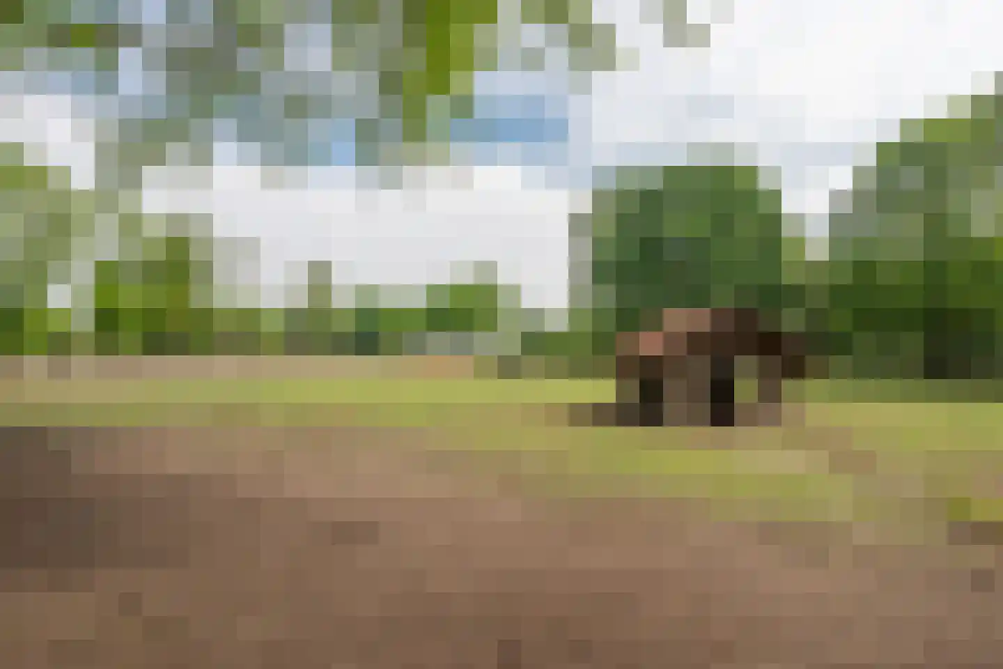 Lijsterlaan 1 Son en Breugel thumbnail 45