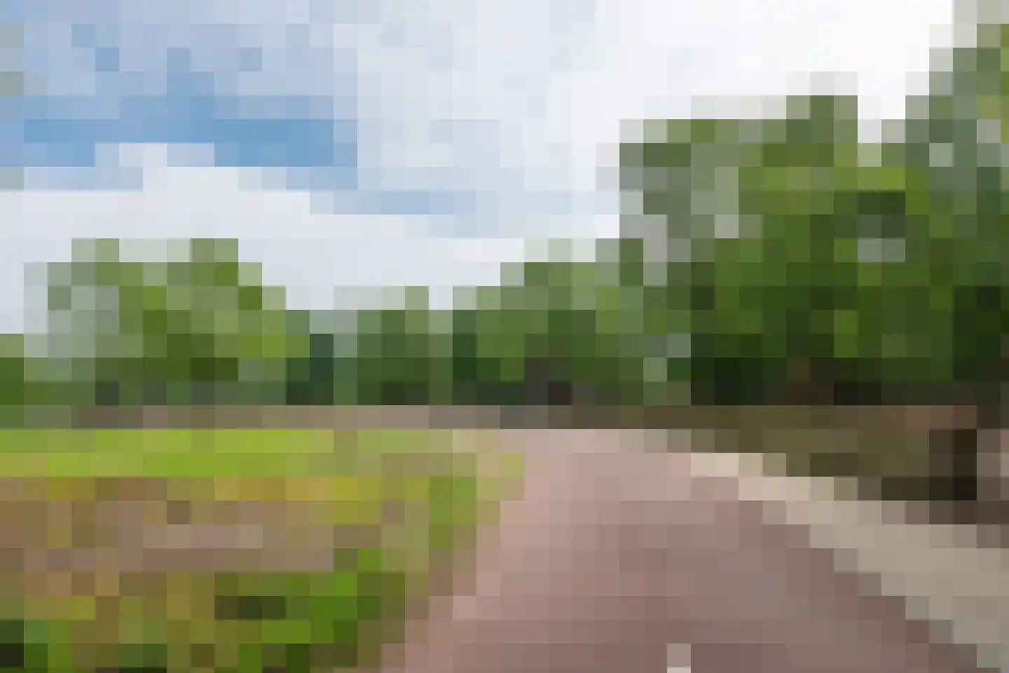 Lijsterlaan 1 Son en Breugel thumbnail 46