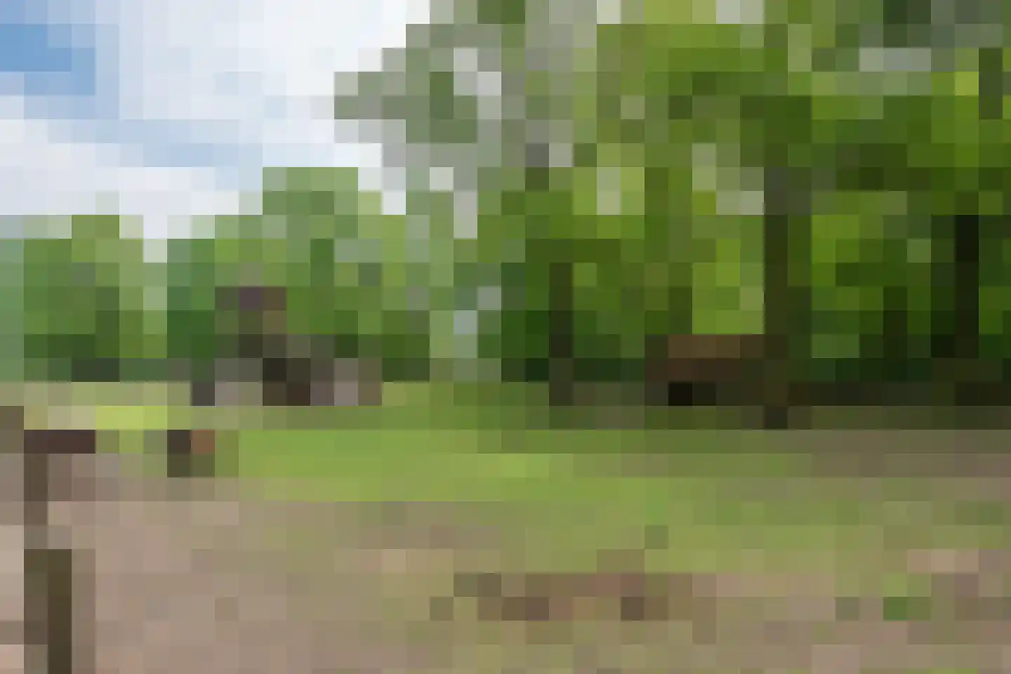 Lijsterlaan 1 Son en Breugel thumbnail 47