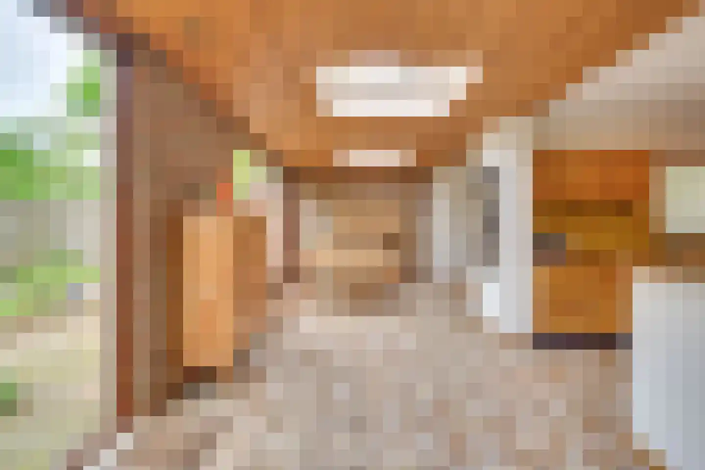 Lijsterlaan 1 Son en Breugel thumbnail 8