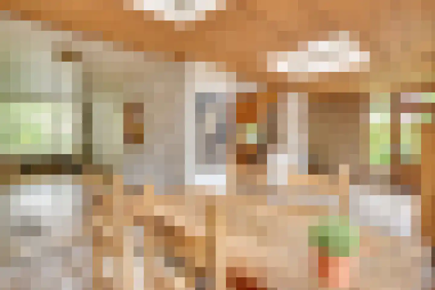 Lijsterlaan 1 Son en Breugel thumbnail 9