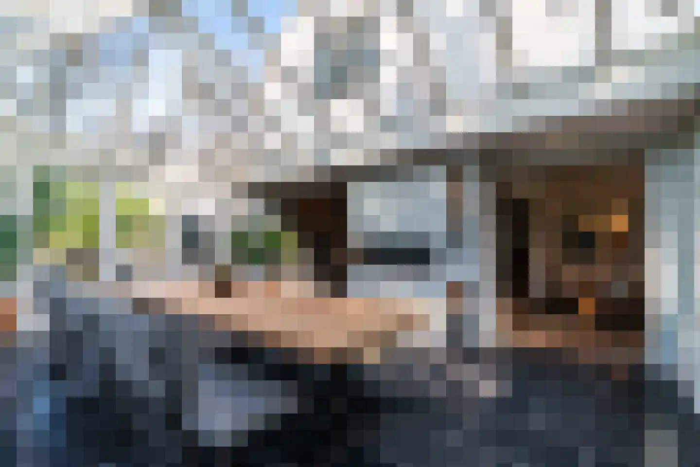 Lijsterlaan 1 Wassenaar thumbnail 13