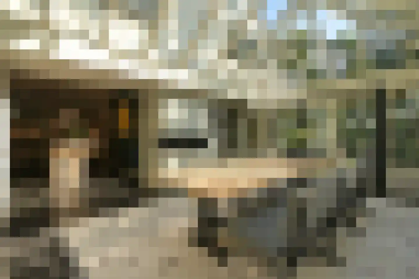 Lijsterlaan 1 Wassenaar thumbnail 13