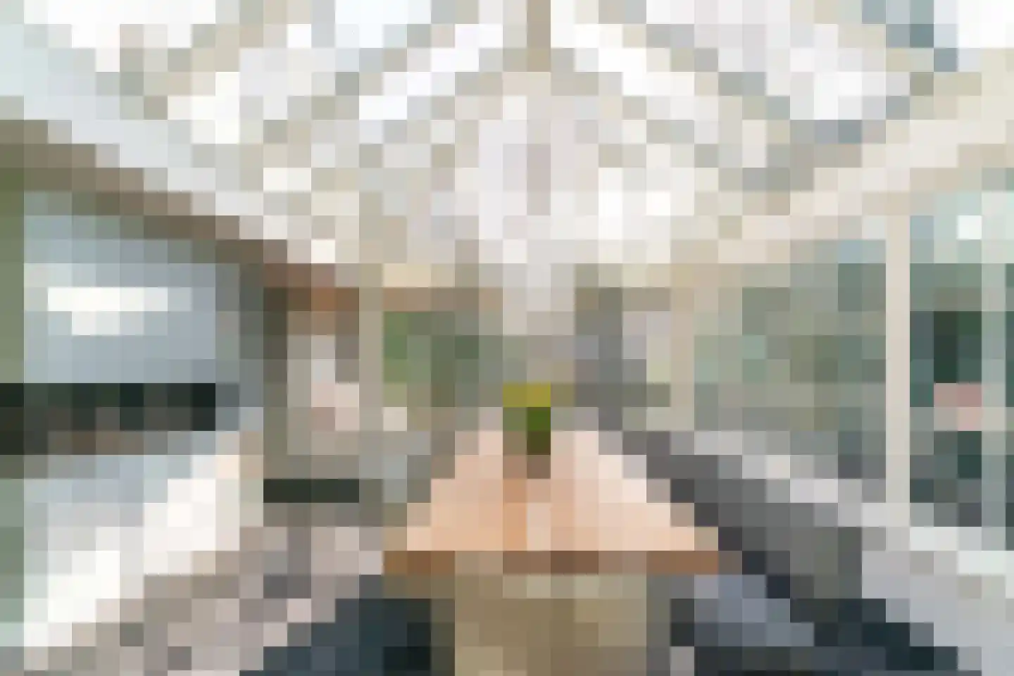 Lijsterlaan 1 Wassenaar thumbnail 14