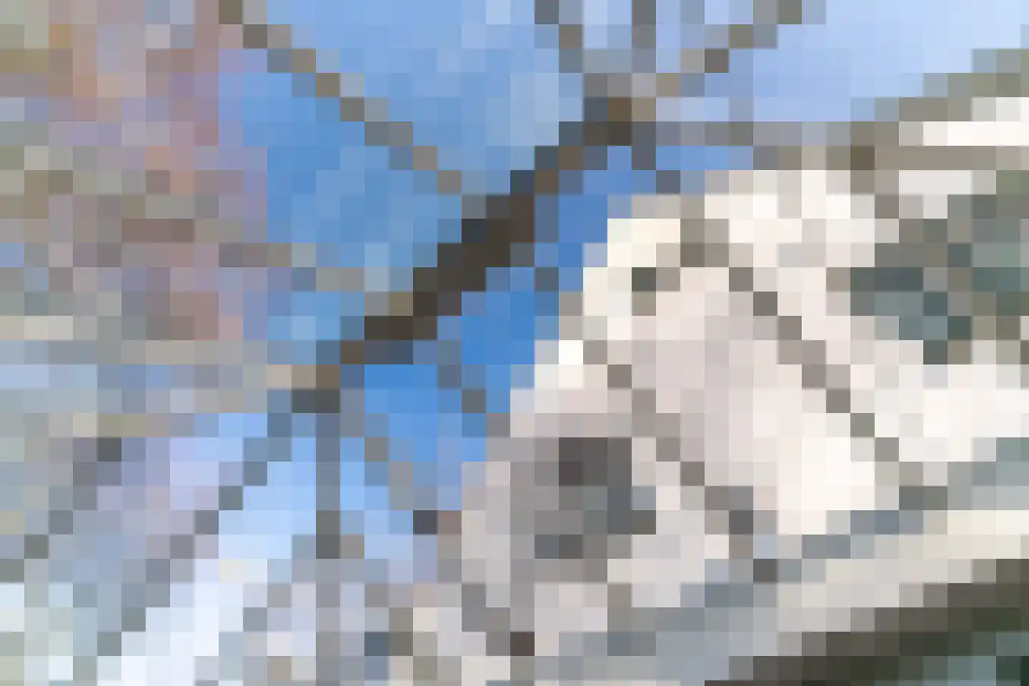 Lijsterlaan 1 Wassenaar thumbnail 15