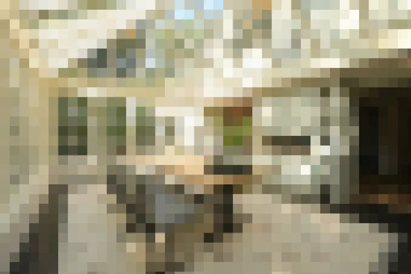 Lijsterlaan 1 Wassenaar thumbnail 16