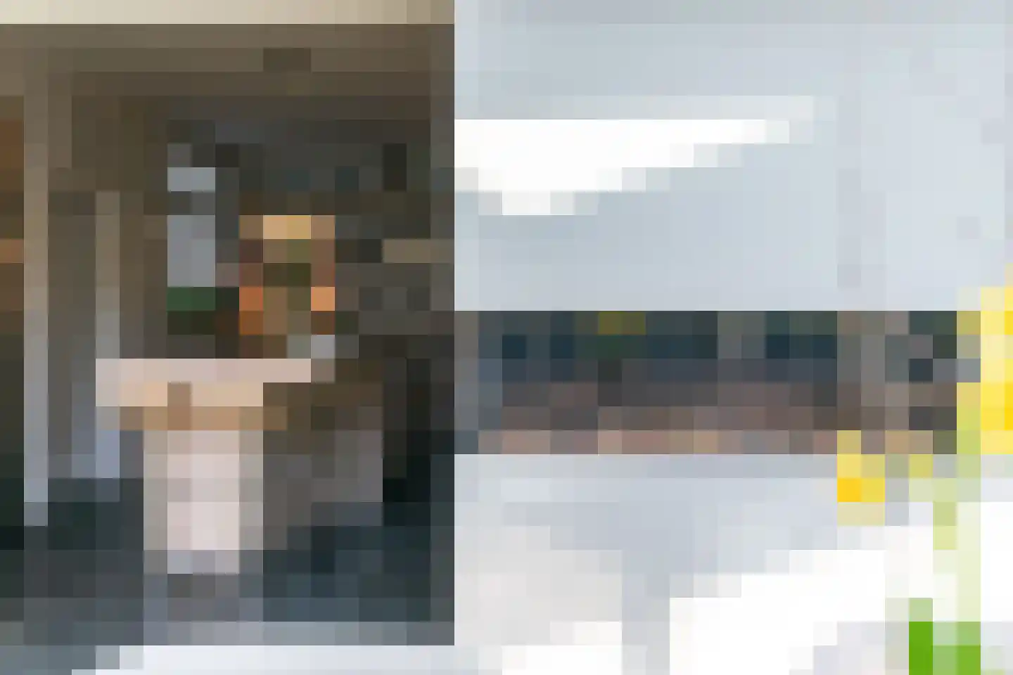 Lijsterlaan 1 Wassenaar thumbnail 18